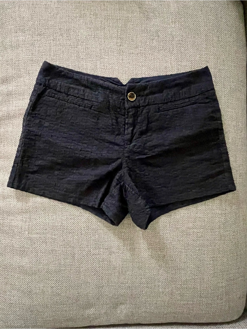 Banana Republic Factory Navy Blue Jacquard Shorts, Size 2